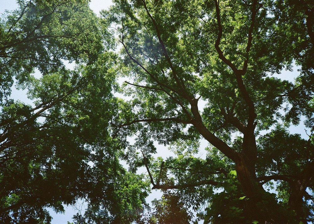 Hero image 1