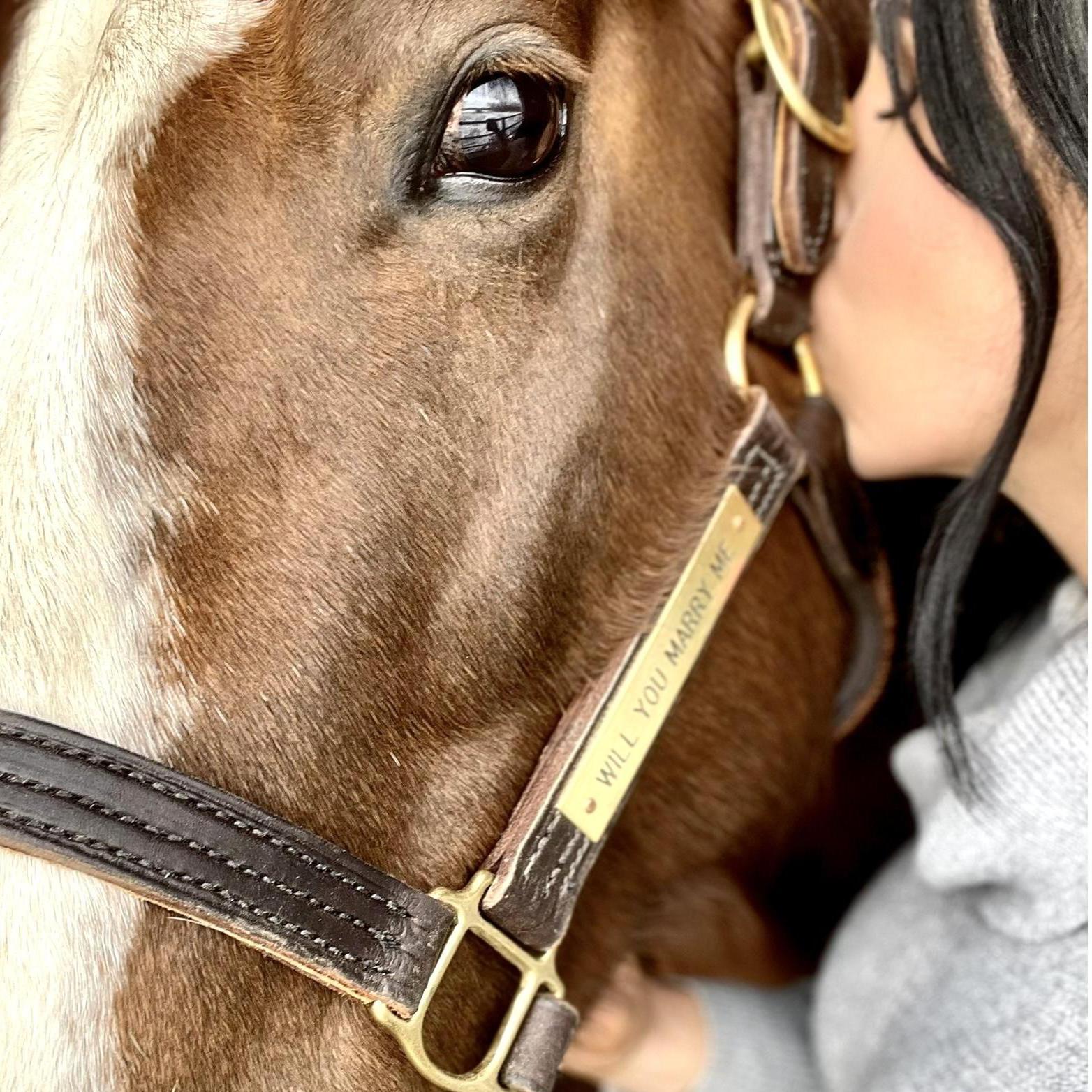 Follow up to the last photo (see the nameplate on the halter?) 🥺❤️❤️ Still gives me butterflies!