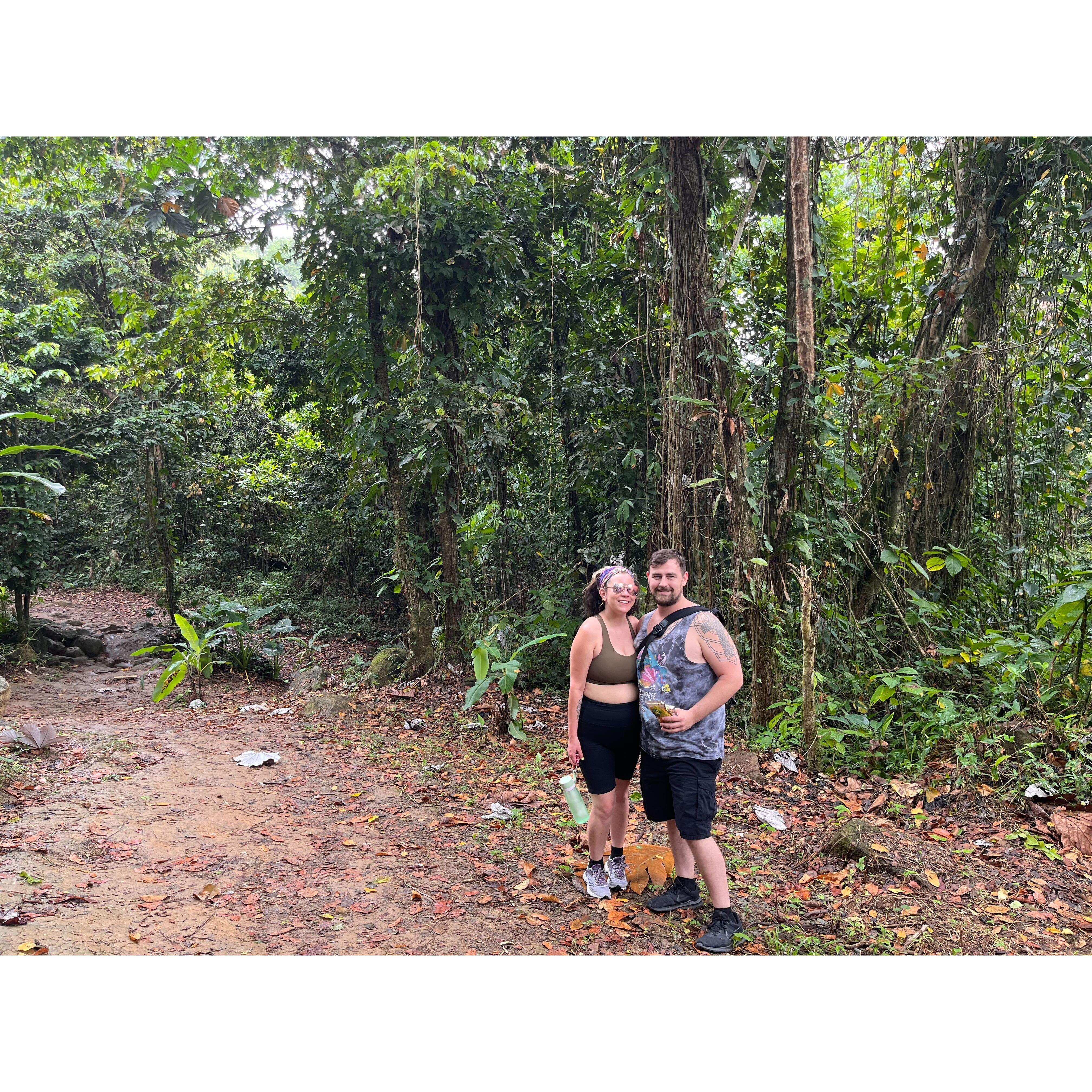 El Yunque National Forest, 2022