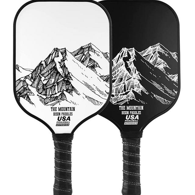 Bison Paddles: Graphite Pickleball Paddles - Lightweight Pickleball Rackets | Honeycomb Composite Core Improves Pickle Ball Placement and Increases Power | Durable Design Extends Racket Life