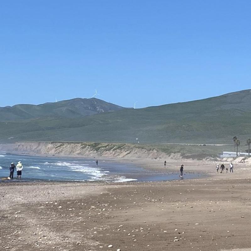 A look at the coastline from Jalama.