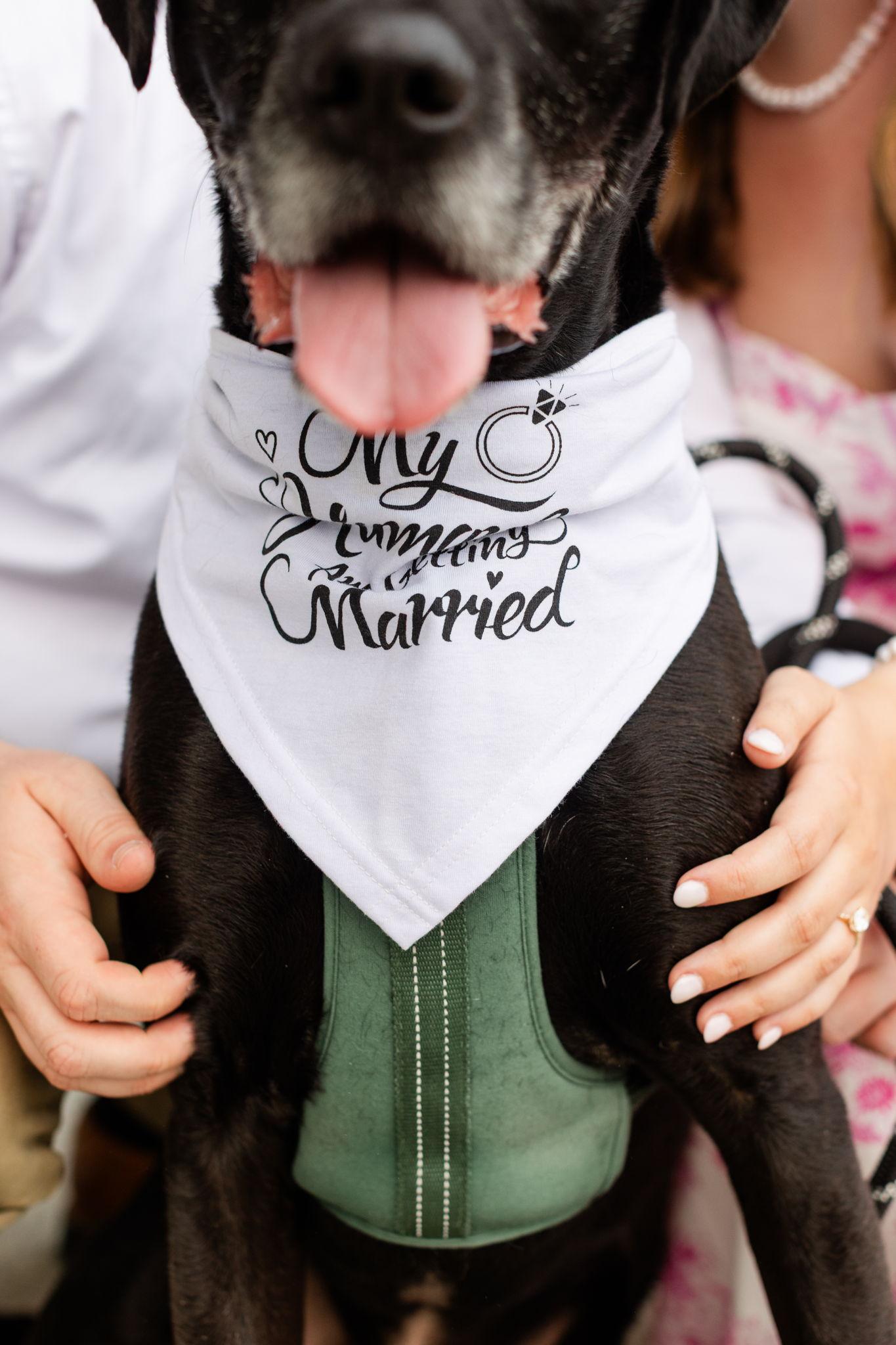 The Wedding Website of Hunter Evans and Eric Jackson