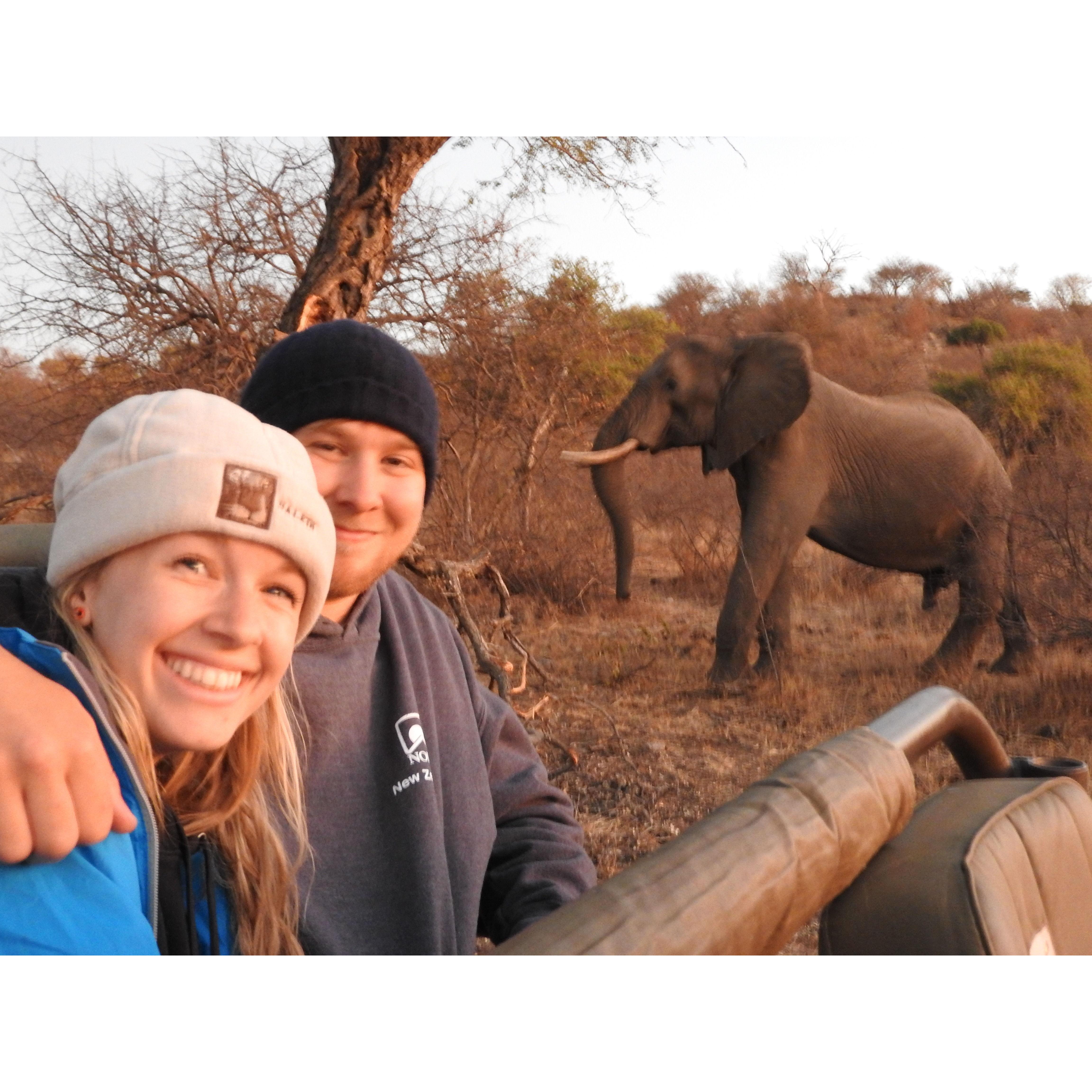 Safari in South Africa!