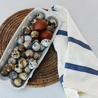 Stripes Tea Towels
