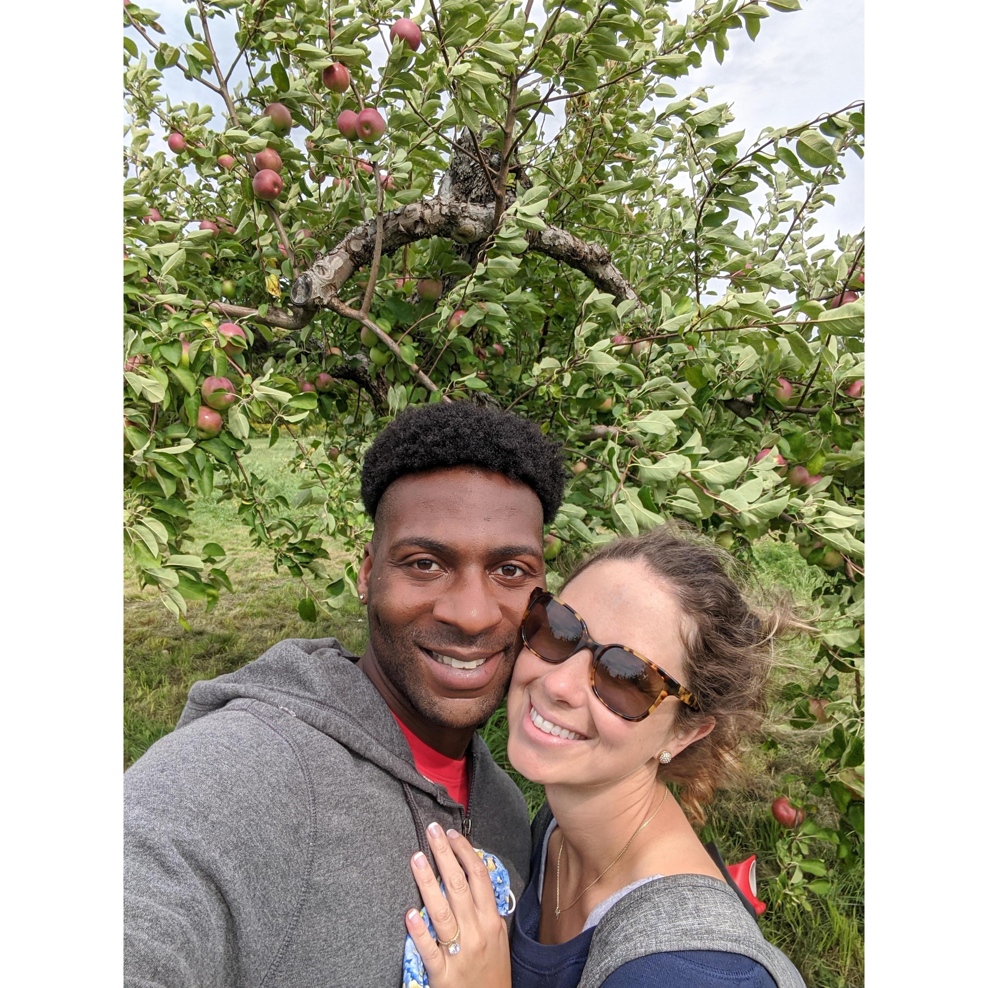 Picking McIntosh apples in Vermont with my honey!