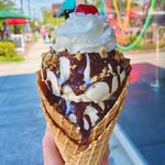 Pinecone's Ice Cream Parlor