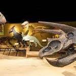 Cleveland Museum of Natural History