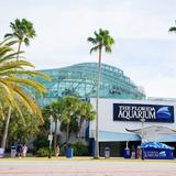The Florida Aquarium