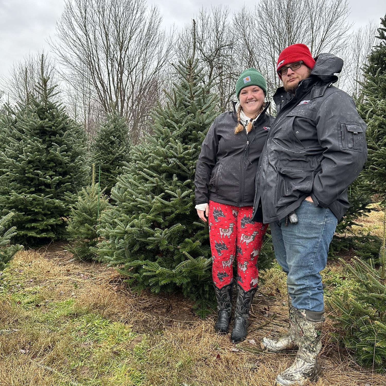 Christmas Tree Hunting