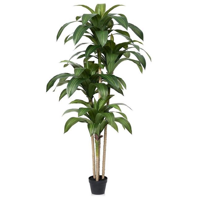 VeriNatural Artificial Dracaena Tree, 6FT Tall Fake Plants with UV Resistant Leaves, Faux Tropical Yucca Trees for Indoor Outdoor, Potted Large Floor Plant for Home Decor Living Room Porch, VN123