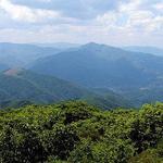 Blue Ridge Parkway: Mt. Pisgah