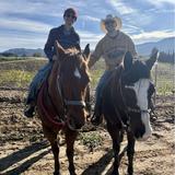 Temecula - Horseback Vineyard Tour