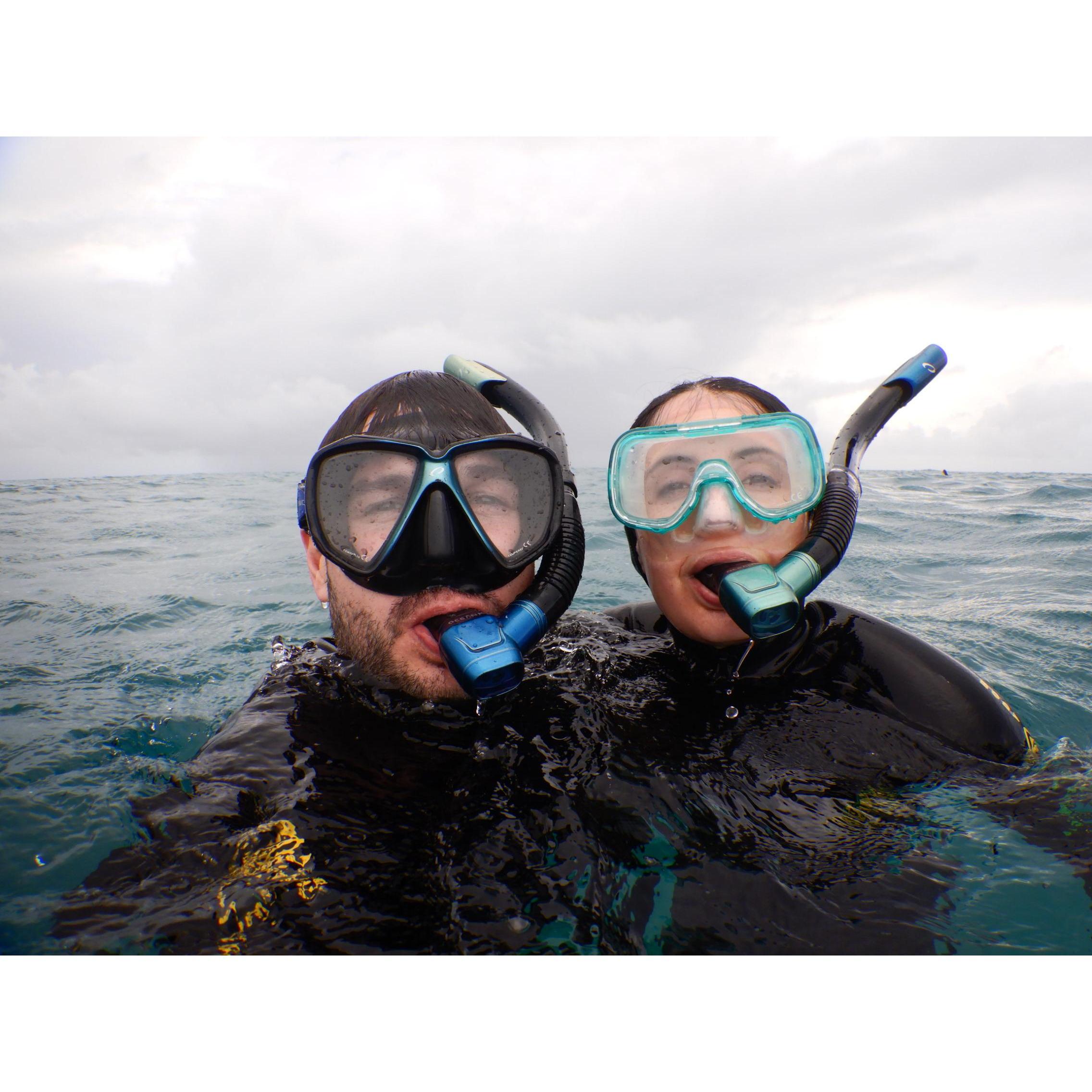 Snorkeling in Australia!