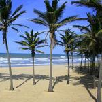 Future beach