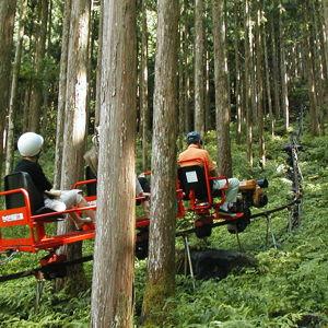 Kyoto Forest Rail Tour