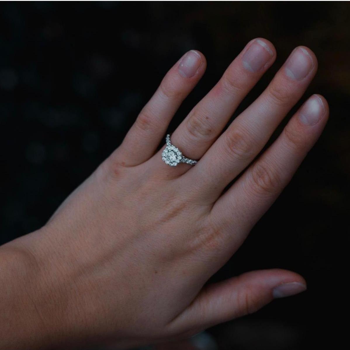 roan mountain, tn
the proposal