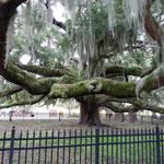 Baranoff Park
