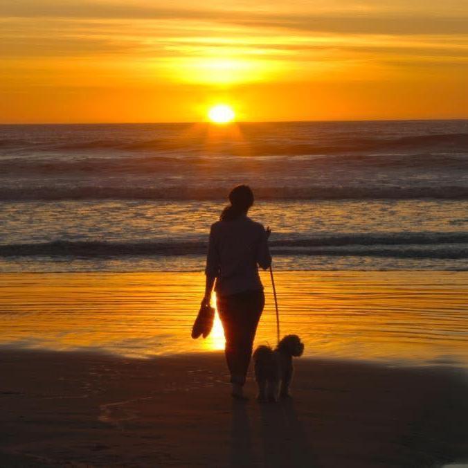 Sunset with Chewy