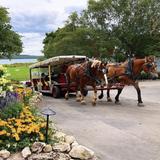 Mackinac Island Carriage Tours