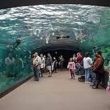 Houston Zoo