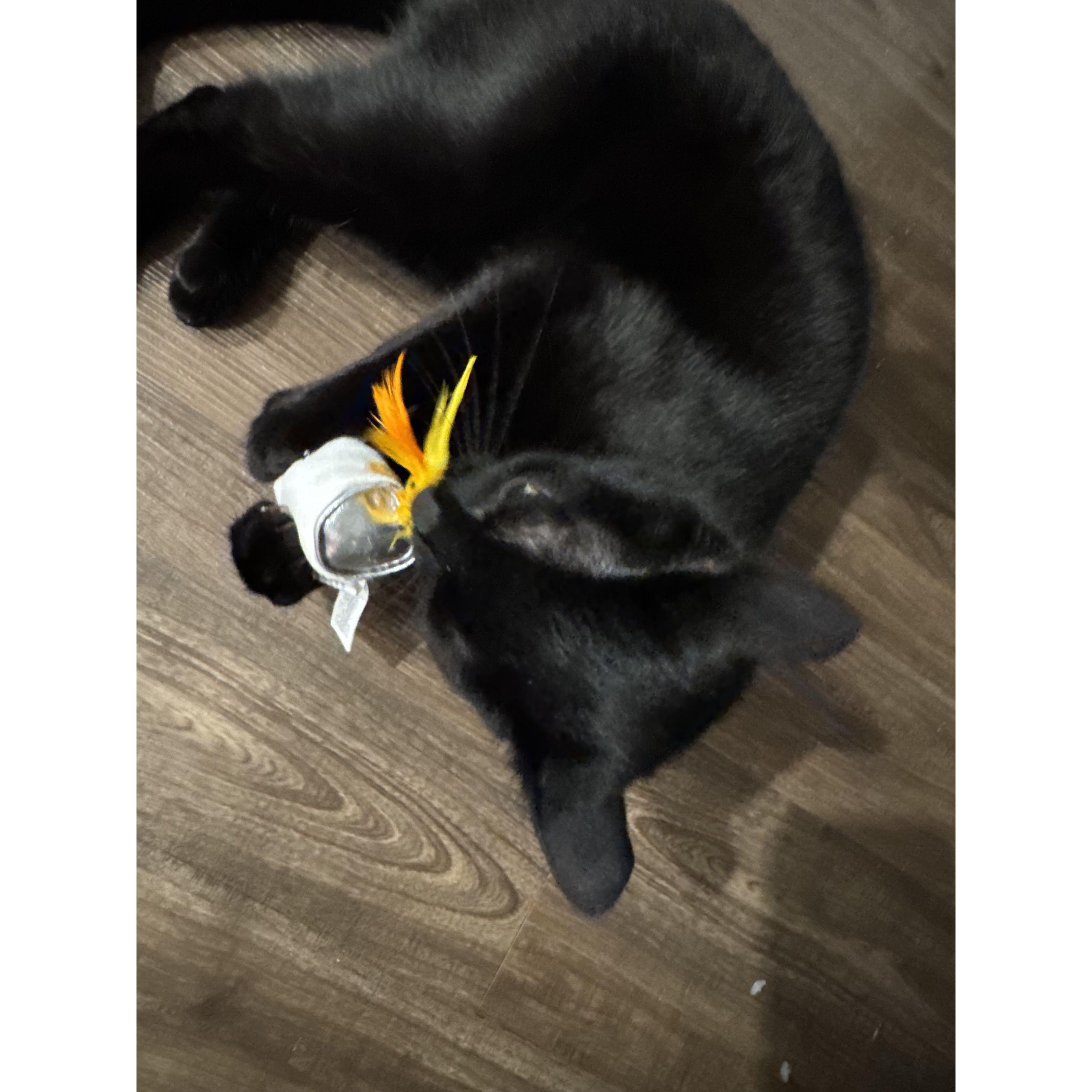 She loves her White Claw