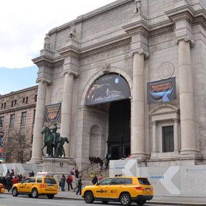 American Museum of Natural History Membership for Two