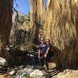 Andreas Canyon Trailhead