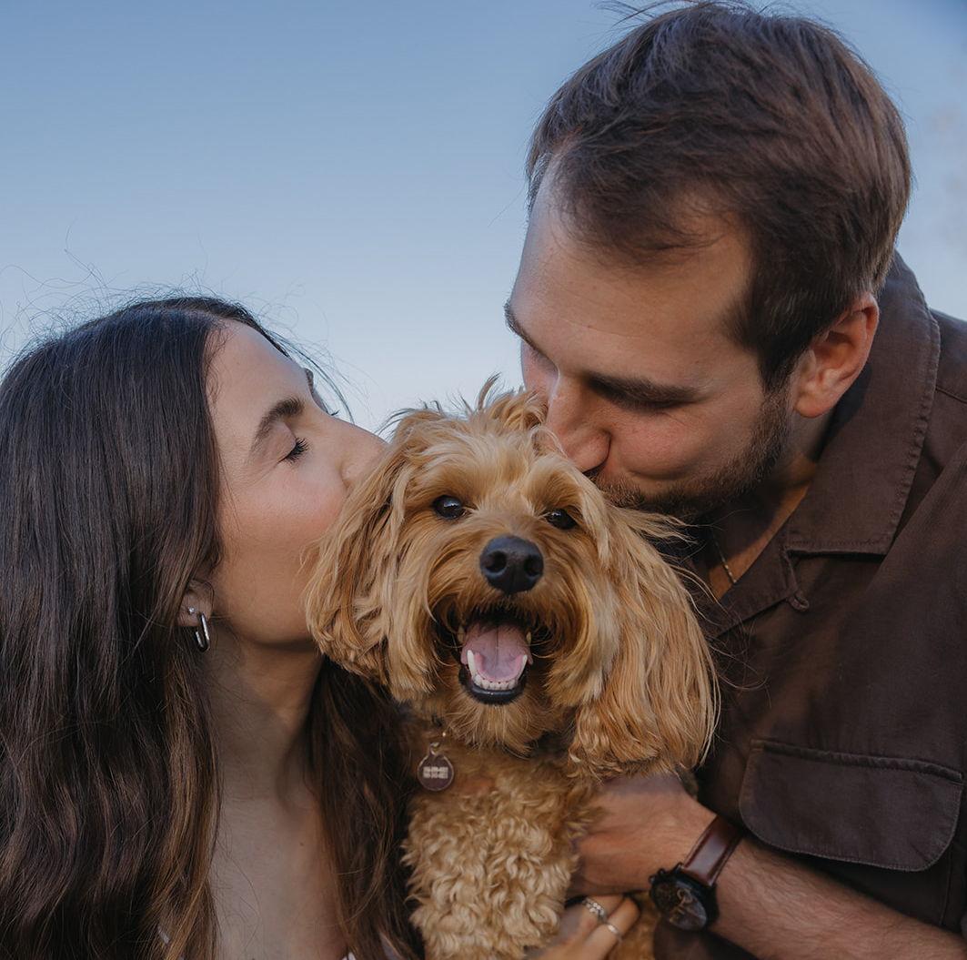 The Wedding Website of Aaron Ginther and Rachel Cubba