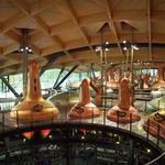 Macallan Distillery