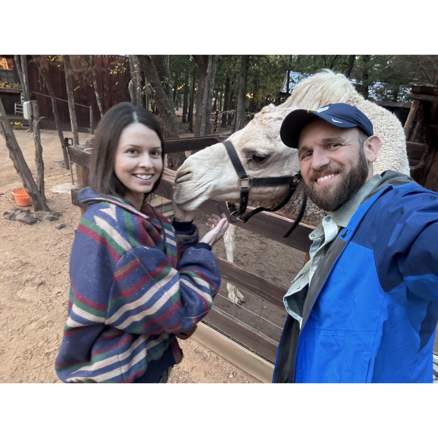 Date #2: A Lady's choice