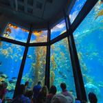 Monterey Bay Aquarium