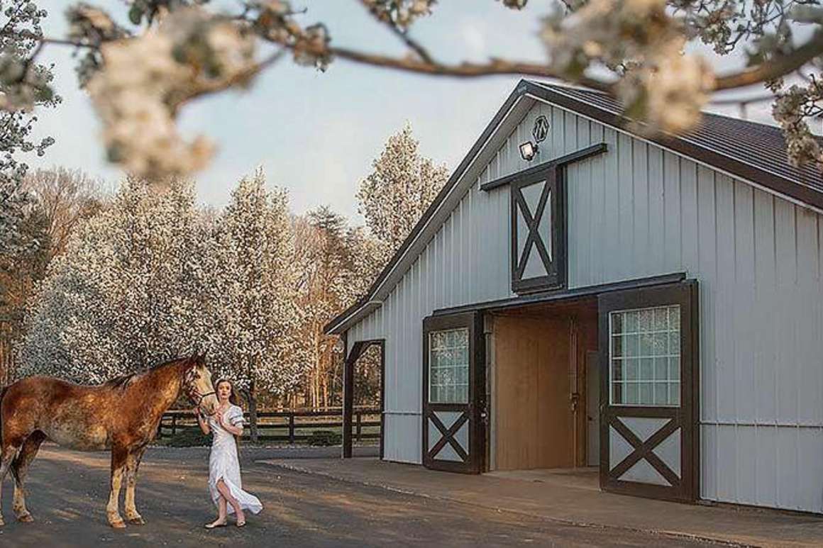 Stafford Stables