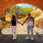 Viñedo Puente Josefa