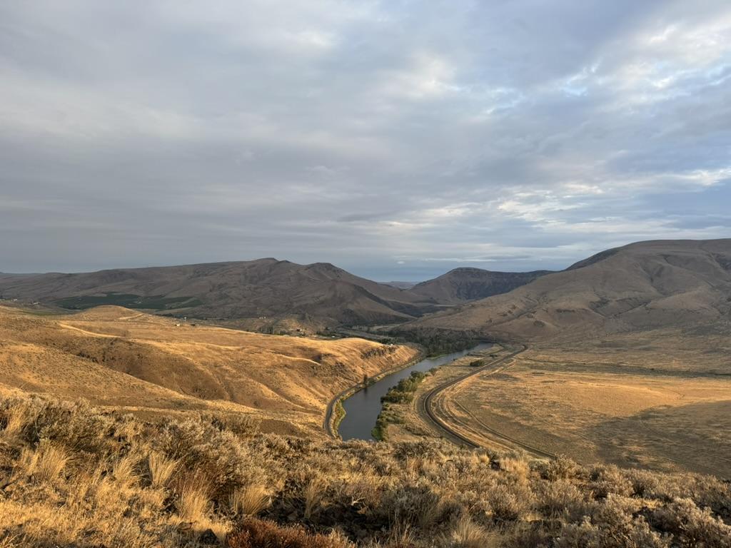 f4d2d3cc-685d-4832-a76e-a13375980513