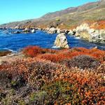 Garrapata State Park
