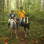 Misty Acres horse Lessons and trail rides