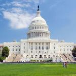 Washington D.C.