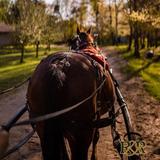 Rise & Ride Ranch