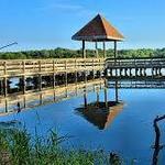 Zorinsky Lake
