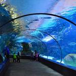 Omaha's Henry Doorly Zoo and Aquarium