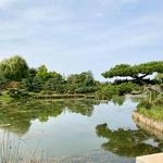 Chicago Botanic Garden