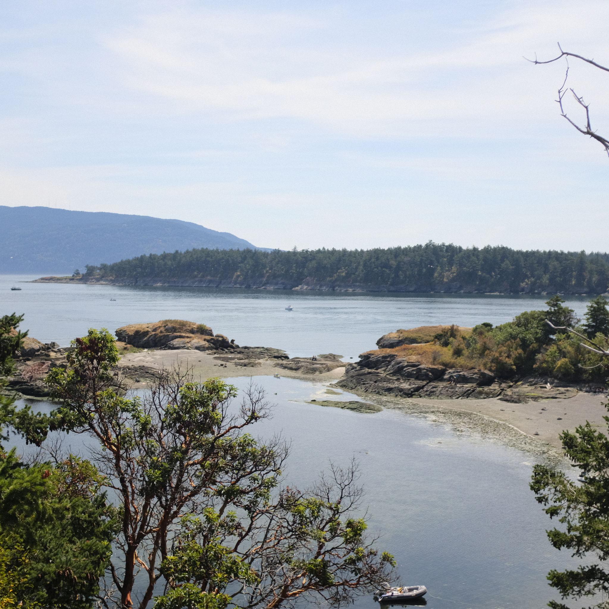 The STUNNING view where Raven proposed during a great weekend sailing to Sucia Island WA (Thanks Mark & Kel 💖) (2025)