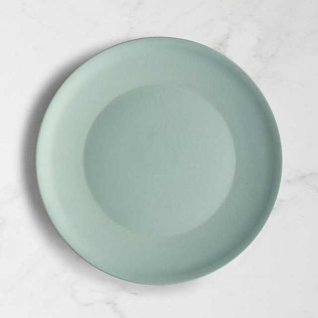 Year and Day Outdoor Dinner Plates, Set of 4, Palm