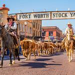 Fort Worth Area: Fort Worth Stockyards