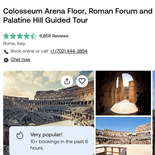Colosseum Tour!