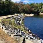 Tower Hill Pond Trail