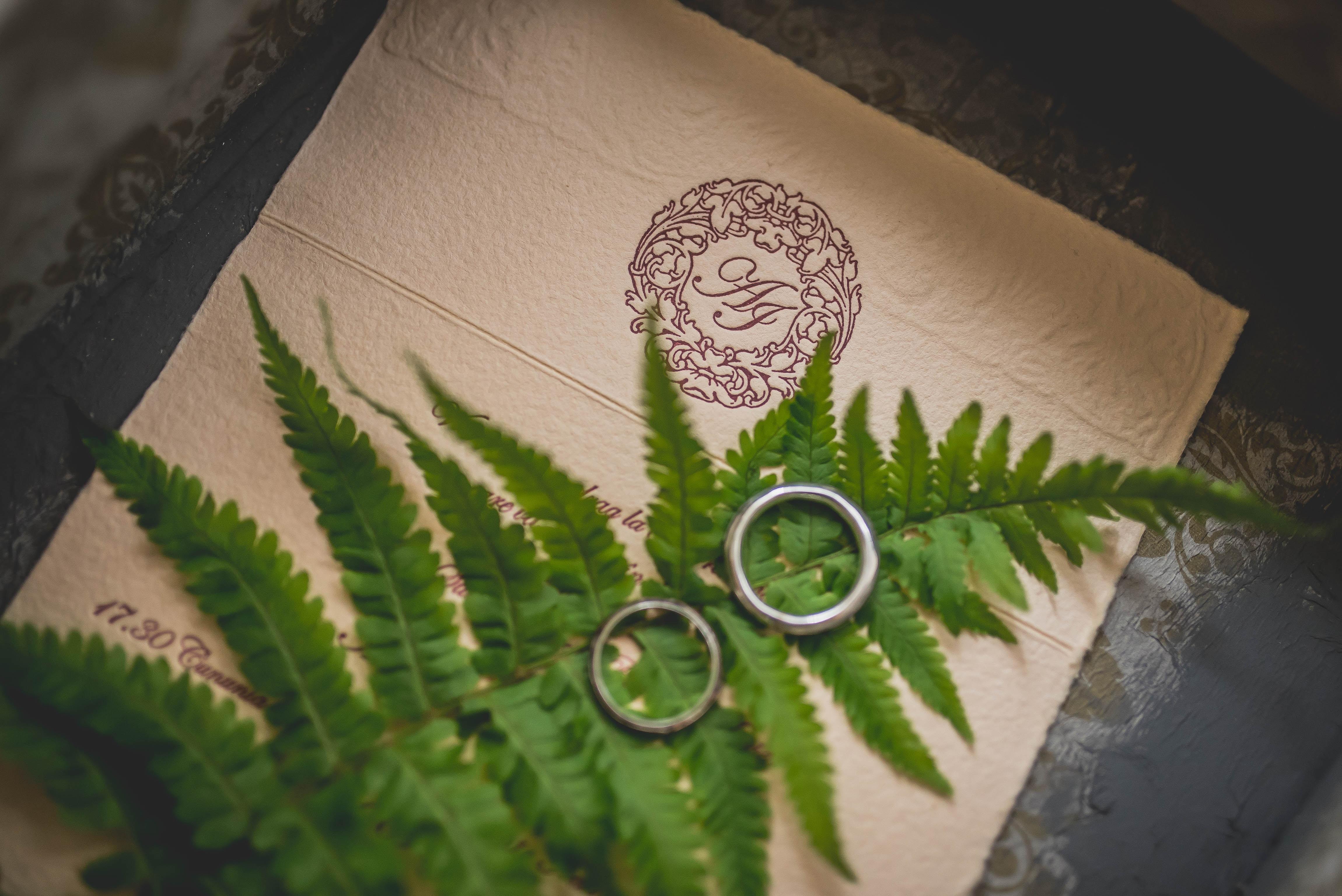 The Wedding Website of Allison Latimore and Jacob Barker