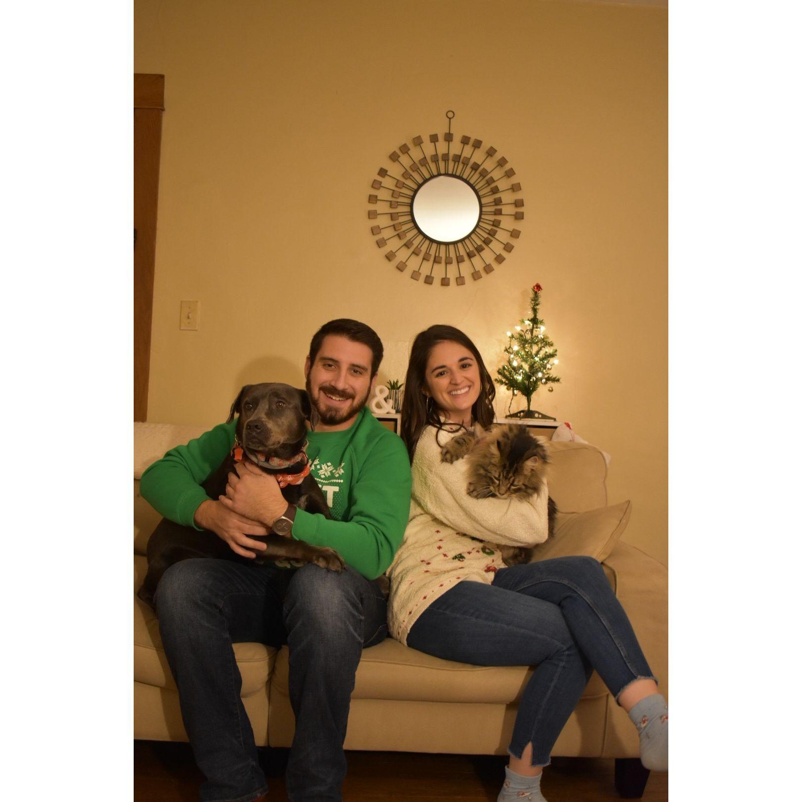 Christmas with our favorite critters- Lorelei (dog) and Crazz (cat)