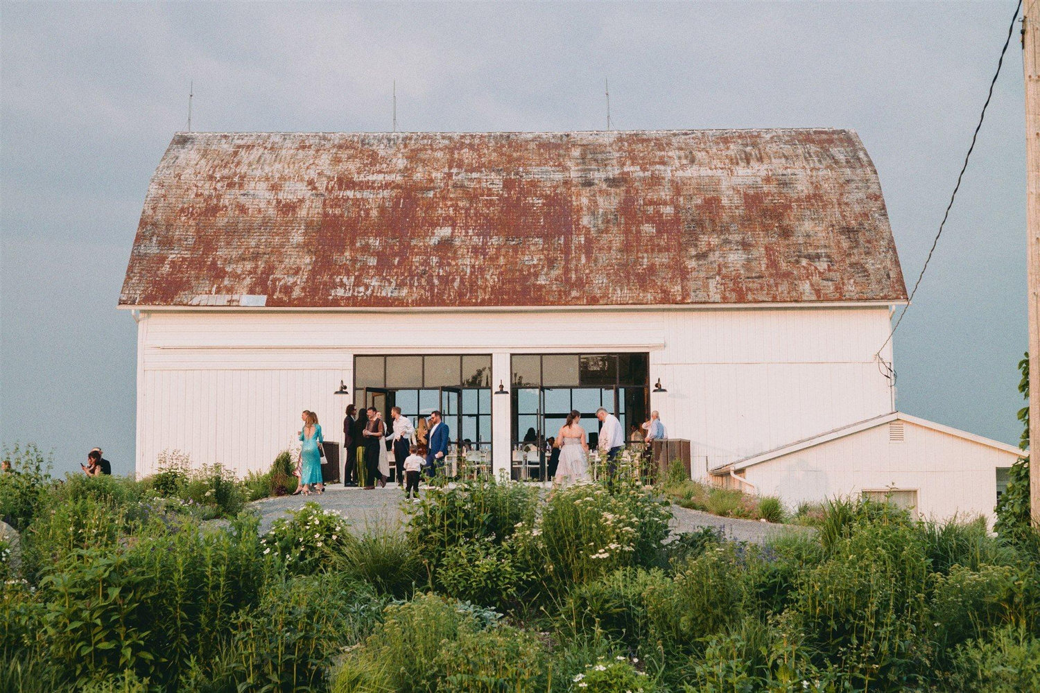 The Wedding Website of Rachael Carrique and Bayley Winkel