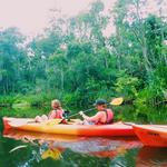 Amelia Island Kayak Excursions